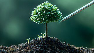 ϼ^DϵĘľïI(y)(w)L