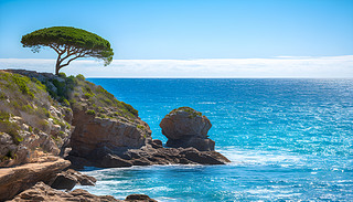 CalaPregonda@@ȫ