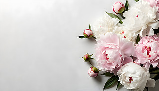 ɫͷɫĵă(yu)ŻܽMϱ͞ı