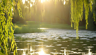 ߼y⾀^(gu)ۂɭ֘(sh)