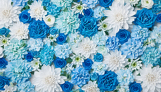 MĲɫcļy턓(chung)ڼb