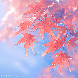 t~¶ӳչ