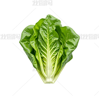 ~GؠIB(yng)Gɫ߲Ԫ