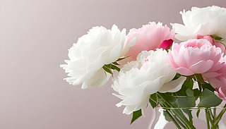 MĶɫõ廨ڻҷɫϞMO(sh)