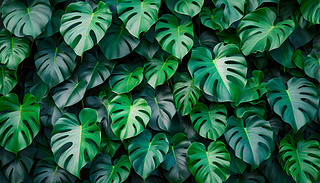 M(mn)ľG~ͻĴ~Ӈ@ĿSɫ