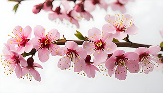 @@ęѻʢ_ıO(sh)Ӌгď