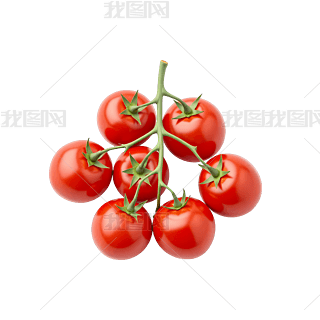ۼtɵķ֦Ԫ
