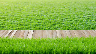 L(fng)ľذCĴݱ|(zh)㌦