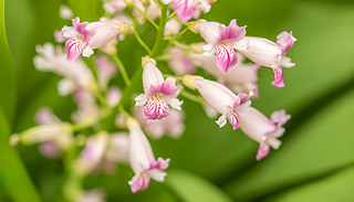 Sβľ·ɫɫ{(dio)չʾˏ(f)sĈDͳM