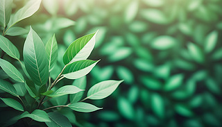 O(jin)xƽ䁾G~ď(f)ƿgĸҕDǶ