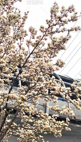 紺mzӰD