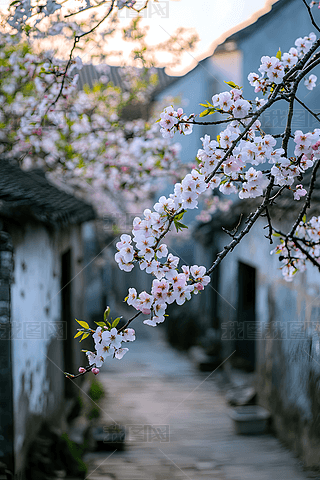 Сɫ÷L(fng)⾳峿zӰDز