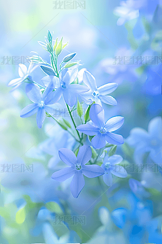 {ɫС峿VлܔzӰDز