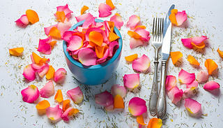 {ɫеķ˪ںϱǺ