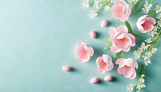 ĵڼy{ɫWҫˇă(yu)