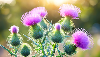 еȻaȴʩ͹@t(y)WͲˎa