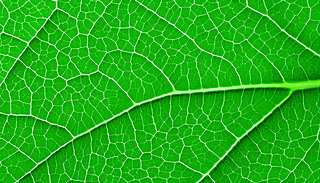 MľG~c(din)YWWl(f)ˮ