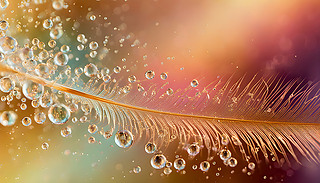 MëڄӑB(ti)ģıɢl(f)ɫʂ