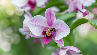 ͨ^(gu)ʽ˹ˇg(sh)(chung)m(yu)չʾ