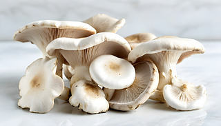 Zq㹽ڼ׵ıչʾ(f)sw