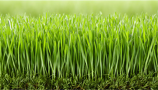 ε{(ln)V韵ı̾Gݵ