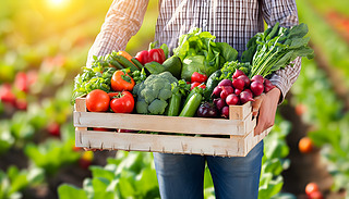 ЙC(j)r(nng)Ժչʾի@߲˺