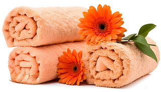 (yu)ŵĳɫܛëӳrԭʼİɫ