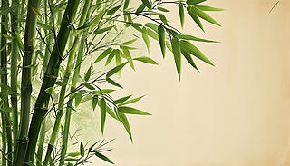 ʽˇˇg(sh)L(fng)֘(sh)~ı