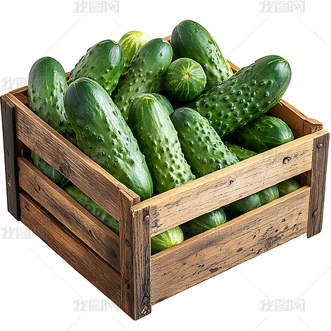 ˇgƷ