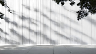 ɫ׺νĿĺڰ׌(du)е؏(f)ʽɫ