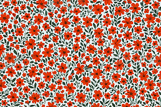 ɫtɫ;Gɫ܈D،屳DƬ