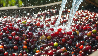 ӹǰڑչصϴrի@Ŀș