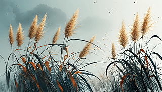 ЇL(fng)ˮī＾¶JȔD