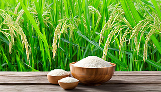 ľϵһl(xing)L(fng)(yu)