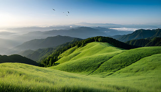 oľGغ͘ľ(chung)һ(g)oȻ^