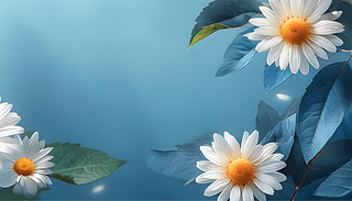 С̎{ɫbanner