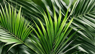 ؙ~ֲ~Gɫ(chung)ⱳ1