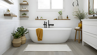 oԡҾGޓ[[ľGɫֲ͕rе