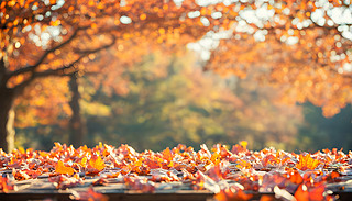 ~ɢ|(zh)ľώ(li)(ji)ԵĜůȻ