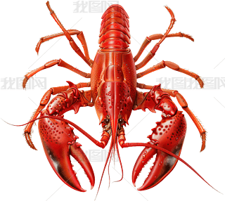 һֻͨ(sh)L(fng)rDƬزԪ