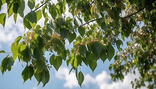 ͽc(din)C(j)Ĵ(sh)~ѿĘ(sh)֦r