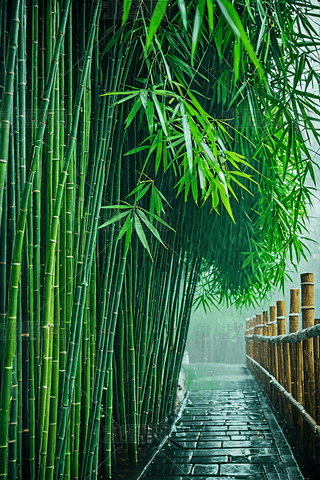 Gɫ(ji)r(nng)ԺAI宋(bo)ز