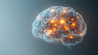 (jng)W(wng)j(lu)(dng)D