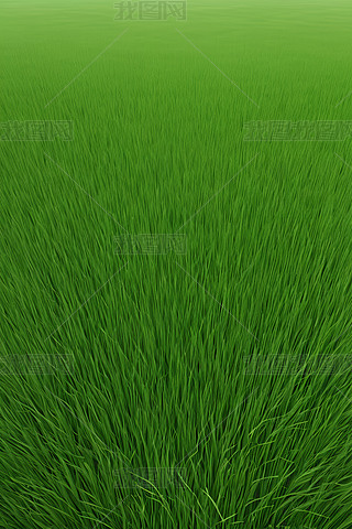 ձľGɫݵظDƬ