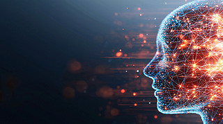 (jng)W(wng)j(lu)(dng)D