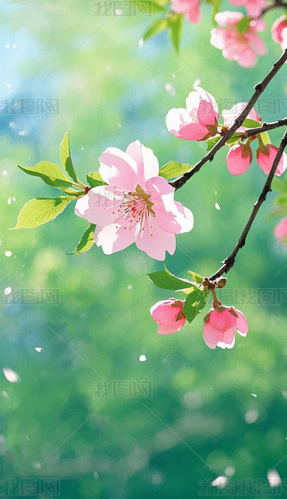 ЇˮL@UʮĹⴺ컨Ӳ宋