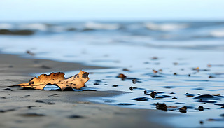 ƉĵĺLʯй©(du)ȻB(ti)ϵ