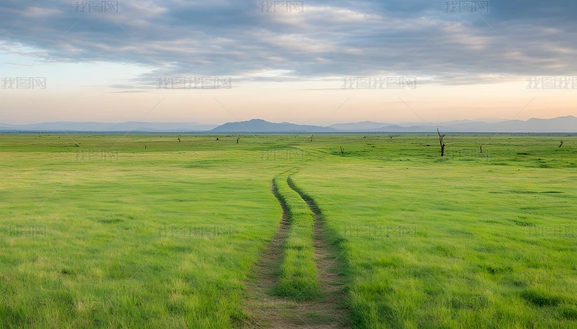 tԺvi