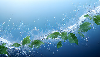 NaturesElegance^ˮ