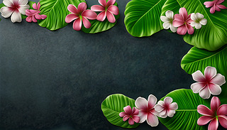 MĻܱڲLľʢ_Ļ